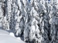 Skitag - Impressionen von der Mariazeller Bürgeralpe - Winter 2013 (19. Jänner)