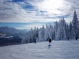 Abfahrt Hofstatt - Impressionen von der Mariazeller Bürgeralpe - Winter 2013 (19. Jänner)