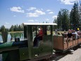 Mariazeller Bürgeralpe - Ausflugsberg und Erlebniswelt - Waldlokomotive