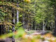 buergeralpe-mariazell-drei-seen-blick-wanderung-5525