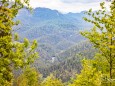 Hubertussee - buergeralpe-mariazell-drei-seen-blick-wanderung-5538