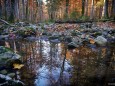 Am Weg zum Dürrenstein