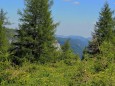 Edelboden im Hochschwabgebiet. Foto: Gerti Leitner