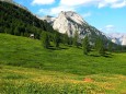 Edelboden im Hochschwabgebiet. Foto: Gerti Leitner