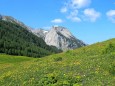 Edelboden im Hochschwabgebiet. Foto: Gerti Leitner