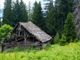 Edelboden im Hochschwabgebiet. Foto: Gerti Leitner