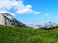 Edelboden im Hochschwabgebiet. Foto: Gerti Leitner