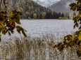 erlaufsee-fotostrecke-herbstfarben-18102020-2