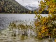 erlaufsee-fotostrecke-herbstfarben-18102020-3