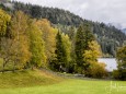 erlaufsee-fotostrecke-herbstfarben-18102020-5