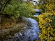 erlaufsee-fotostrecke-herbstfarben-18102020-7