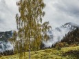 erlaufsee-fotostrecke-herbstfarben-18102020-8