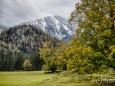 erlaufsee-fotostrecke-herbstfarben-18102020-9