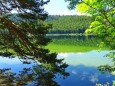 Erlaufsee. Foto: Hans Pfeffer