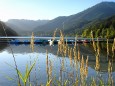 Erlaufsee im Sommer 2009