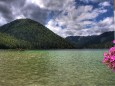 Erlaufsee - Naturjuwel mit vielfältigen Möglichkeiten