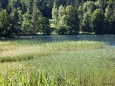 Erlaufsee - Naturjuwel mit vielfältigen Möglichkeiten