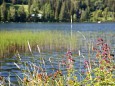 Erlaufsee - Naturjuwel mit vielfältigen Möglichkeiten