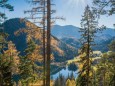 BLICK ZUM ERLAUFSEE - Wanderung Erlaufursprung - Brunnstein - Brach - Gemeindealpe - Erlaufsee