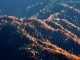 Wanderung Erlaufursprung - Brunnstein - Brach - Gemeindealpe - Erlaufsee