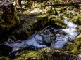 Blick von der Ursprungshöhle hinunter zum Bachlauf_ erlaufursprung-23042021-2995