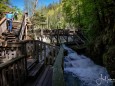 erlebniswelt-mendlingtal-26052021-4463