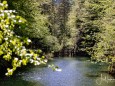 erlebniswelt-mendlingtal-26052021-4569