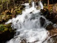 erlebniswelt-mendlingtal-26052021-4591