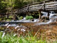 erlebniswelt-mendlingtal-26052021-4606