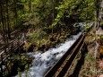 erlebniswelt-mendlingtal-26052021-4613