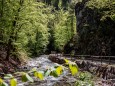 wieder am rückweg - erlebniswelt-mendlingtal-26052021-4622