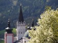 Basilika hinter einem Blütenmeer