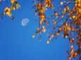 Herbstmond - Herbstwanderung Köckensattel-Fahrnboden-Ochsenboden