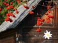 Herbstwanderung Köckensattel-Fahrnboden-Ochsenboden