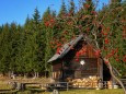 Alpenvereinshütte Fahrnboden - Herbstwanderung Köckensattel-Fahrnboden-Ochsenboden