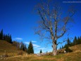 Ochsenboden - Herbstwanderung Köckensattel-Fahrnboden-Ochsenboden