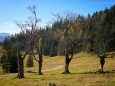 Ochsenboden - Herbstwanderung Köckensattel-Fahrnboden-Ochsenboden