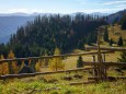 Ochsenboden - Herbstwanderung Köckensattel-Fahrnboden-Ochsenboden