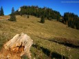 Ochsenboden - Herbstwanderung Köckensattel-Fahrnboden-Ochsenboden