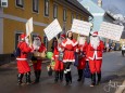 fasching-mariazell-gusswerk-faschingsdienstag-umzuege-2020-27328