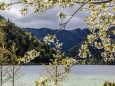 Erlaufsee am 15. Mai 2023