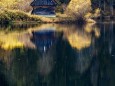 walstern-hubertussee-23102022-3