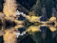 walstern-hubertussee-23102022-4