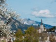 mariazell-basilika-fruehling-29371