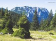 Blick zurück vorm letzten anstrengenden Anstieg zum Gipfelkreuz - Gr. Geiger (1723 m) Rundwanderung von Hinterwildalpen