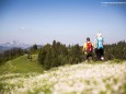 Wanderbare Gipfelklänge am 6. Juni 2015 - Gemeindealpe-Vorderötscher-Ötscherhias-Ötscherbasis Wienerbruck