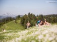 Wanderbare Gipfelklänge am 6. Juni 2015 - Gemeindealpe-Vorderötscher-Ötscherhias-Ötscherbasis Wienerbruck