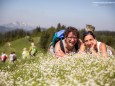 Wanderbare Gipfelklänge am 6. Juni 2015 - Gemeindealpe-Vorderötscher-Ötscherhias-Ötscherbasis Wienerbruck