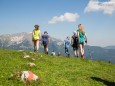 Wanderbare Gipfelklänge am 6. Juni 2015 - Gemeindealpe-Vorderötscher-Ötscherhias-Ötscherbasis Wienerbruck