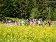 Wanderbare Gipfelklänge am 7. Juni 2015 - Lackenhof-Riffelsattel-Kleiner Ötscher-Eibenkogel-Fuchswaldhütte Weitental